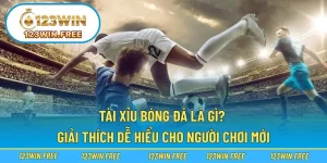 Tài Xỉu Bóng Đá Là Gì? Giải Thích Dễ Hiểu Cho Người Chơi Mới